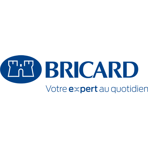 Logo Bricard